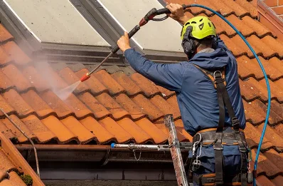 Démoussage et hydrofuge de toiture à Quincieu
